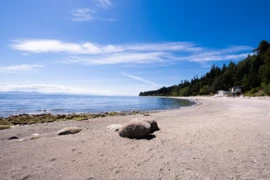 1618 Ocean Beach Esplanade, Gibsons, BC