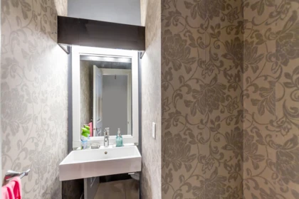 Powder Room Photo of 37 1362 Purcell Drive, Coquitlam, BC