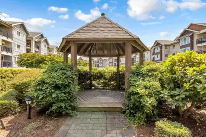 Swimming Pool Photo of 317 19673 Meadow Gardens Way, Pitt Meadows, BC