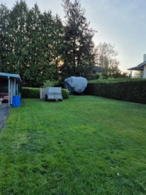 Kitchen Photo of 10587 138a Street, Surrey, BC
