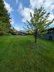 10587 138a Street, Surrey, BC, Surrey — Single Family Residence for sale