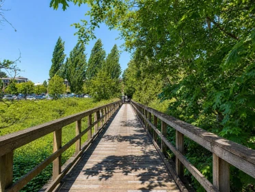Neighborhood Park Photo Near A215 8929 202 Street, Langley, BC