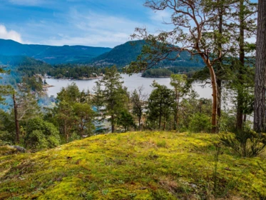 LOT 13 Flagship Road, Pender Harbour, BC, Pender Harbour — Land for sale