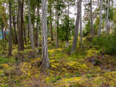 Laundry Room Photo of LOT 13 Flagship Road, Pender Harbour, BC