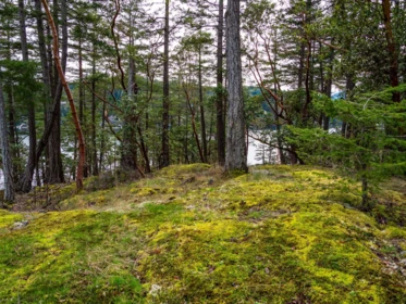 Loft / Bonus Room Photo of LOT 13 Flagship Road, Pender Harbour, BC