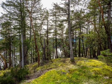 Office / Den Photo of LOT 13 Flagship Road, Pender Harbour, BC
