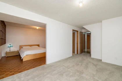 Basement Recreation Room Photo of 2652 Wildwood Drive, Langley, BC