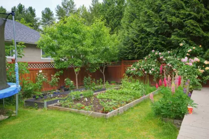 Community Amenities Photo (Clubhouse) of 21657 92b Avenue, Langley, BC