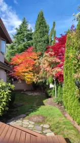 Street View Photo of 2248 136 Street, Surrey, BC
