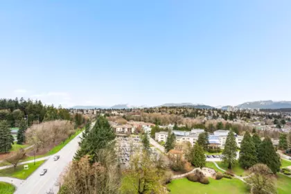 Aerial View of 1908 280 Ross Drive, New Westminster, BC