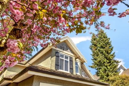 3825 154 Street, Surrey, BC, Surrey — Single Family Residence for sale