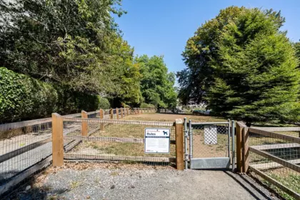 Neighborhood Park Photo Near 802 188 Agnes Street, New Westminster, BC