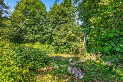 Aerial View of 33 22900 126 Avenue, Maple Ridge, BC