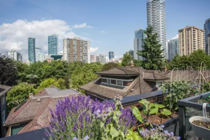 Garden / Landscaping Photo of 2 1152 Comox Street, Vancouver, BC