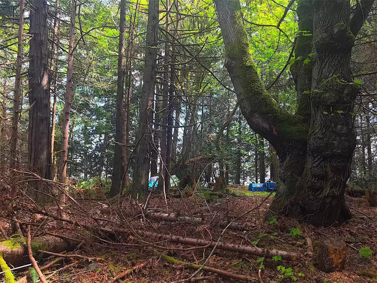 Backyard Photo of Lot 2 Bodega Beach Drive, Galiano Island, BC
