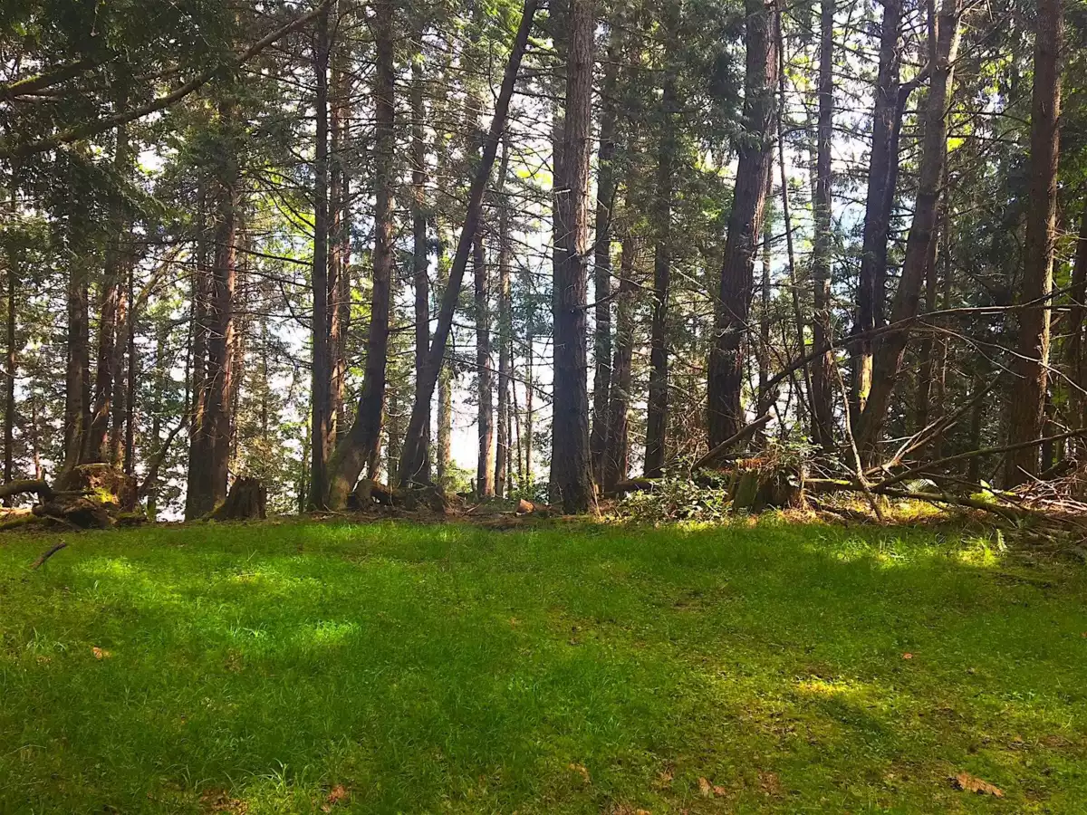 Basement Recreation Room Photo of Lot 2 Bodega Beach Drive, Galiano Island, BC