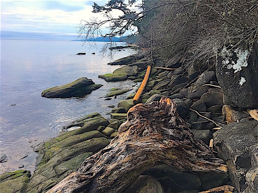 Breakfast Nook Photo of Lot 2 Bodega Beach Drive, Galiano Island, BC