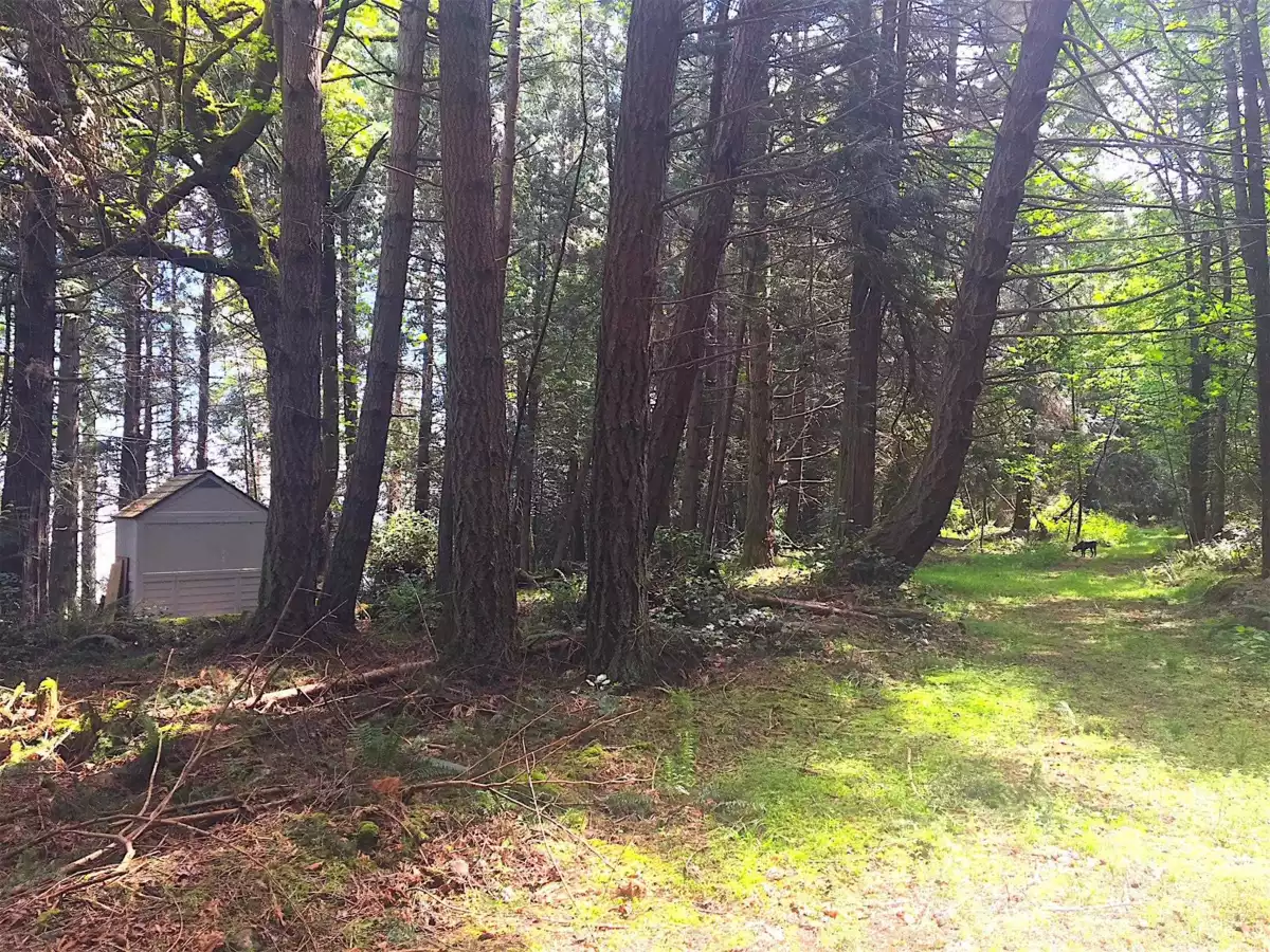 Entry Foyer Photo of Lot 2 Bodega Beach Drive, Galiano Island, BC