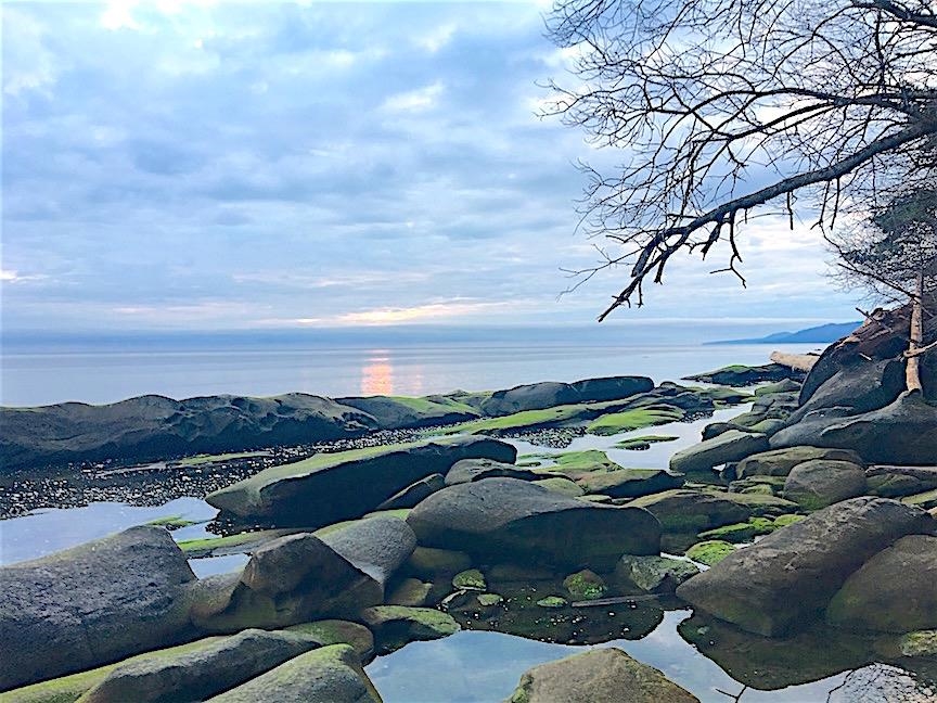 Exterior Front Photo of Lot 2 Bodega Beach Drive, Galiano Island, BC