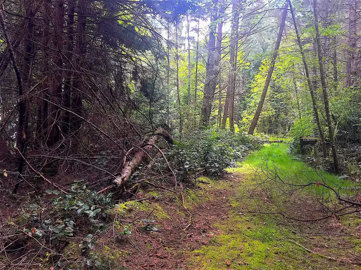 Garage Interior Photo of Lot 2 Bodega Beach Drive, Galiano Island, BC
