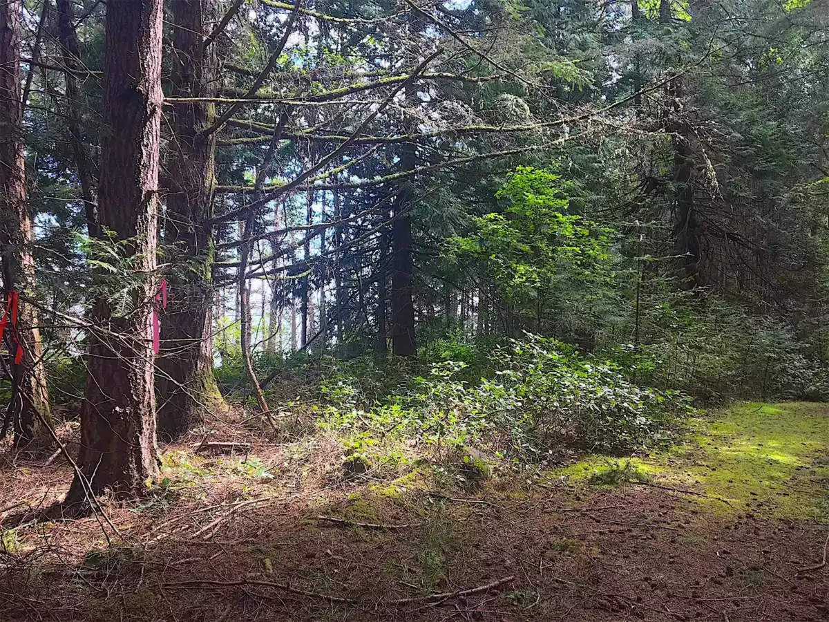 Hallway Photo of Lot 2 Bodega Beach Drive, Galiano Island, BC