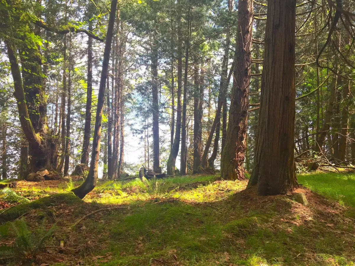 Laundry Room Photo of Lot 2 Bodega Beach Drive, Galiano Island, BC