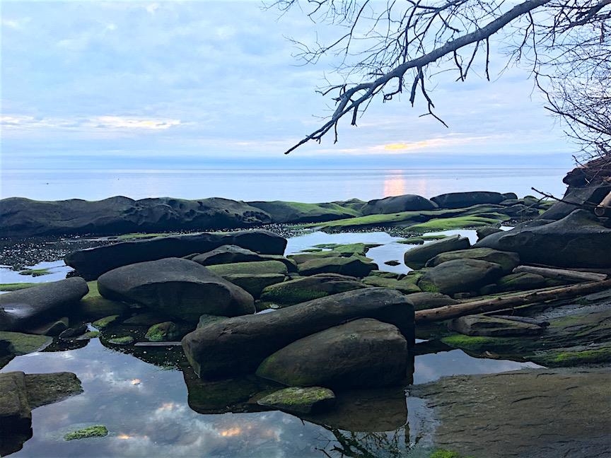 Living Room Photo of Lot 2 Bodega Beach Drive, Galiano Island, BC