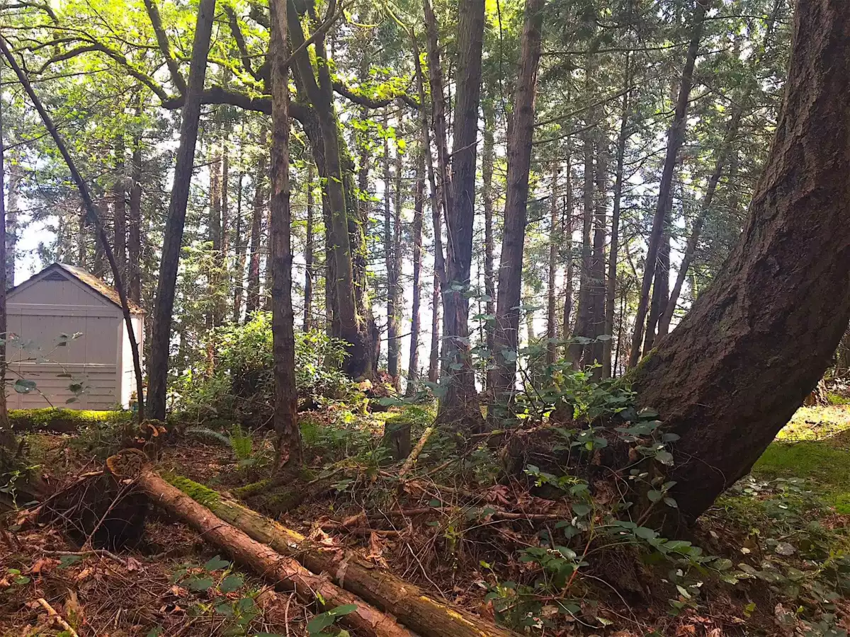 Mudroom Photo of Lot 2 Bodega Beach Drive, Galiano Island, BC