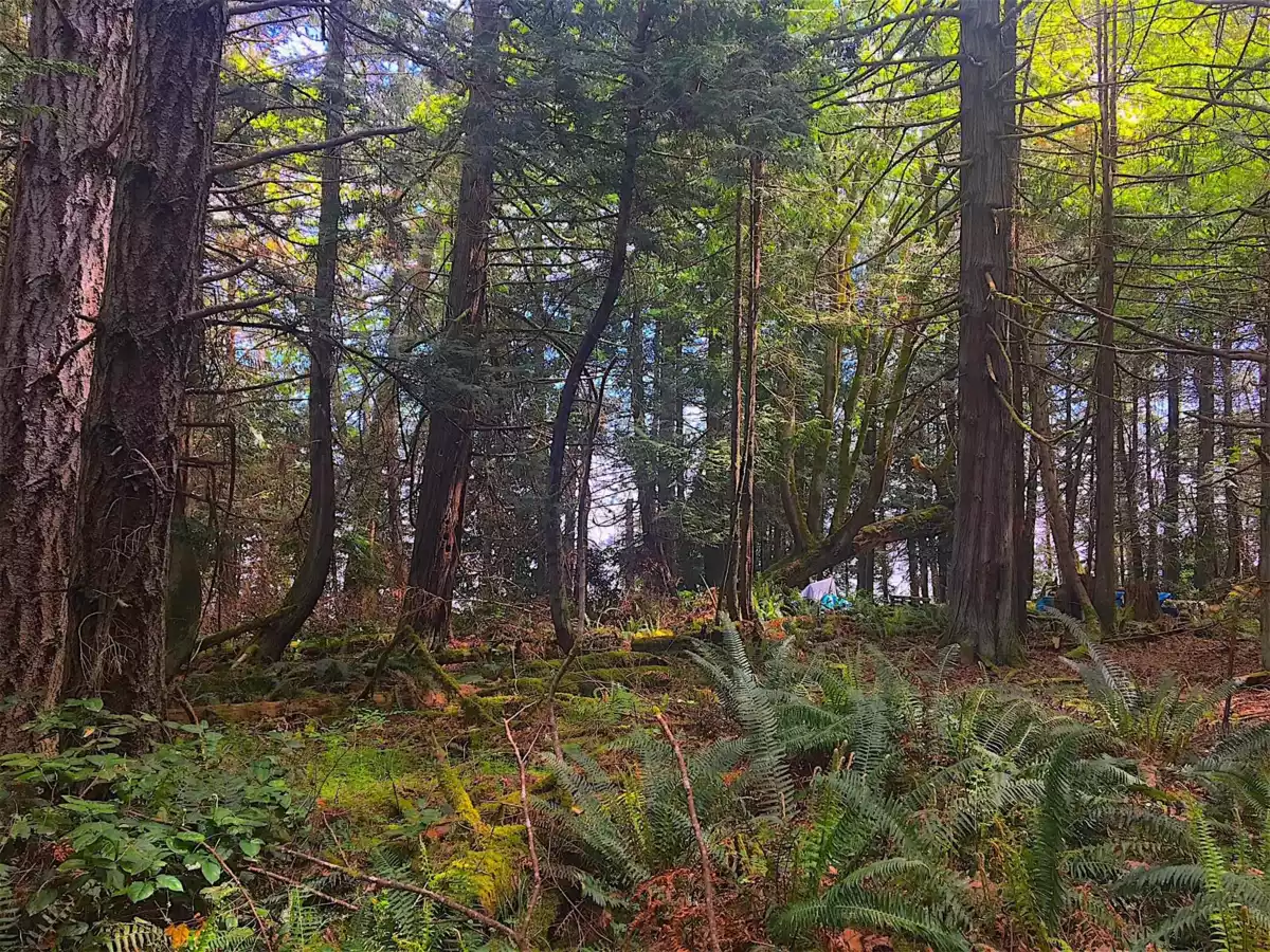 Outdoor Deck Photo of Lot 2 Bodega Beach Drive, Galiano Island, BC