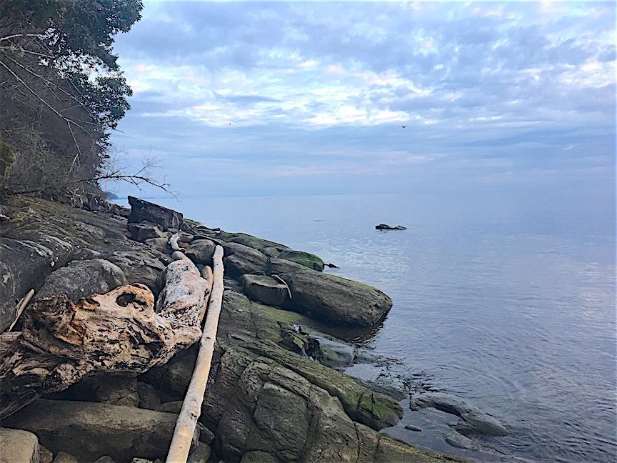 Pantry Photo of Lot 2 Bodega Beach Drive, Galiano Island, BC