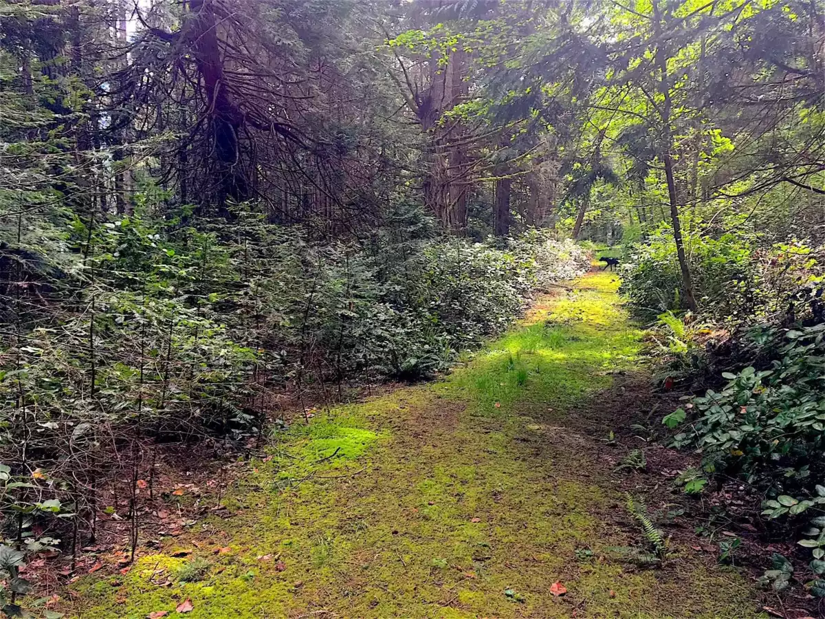 Staircase Photo of Lot 2 Bodega Beach Drive, Galiano Island, BC