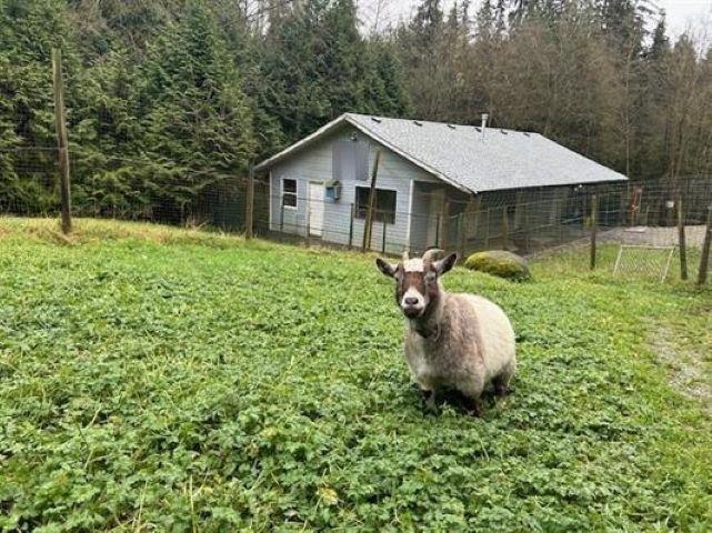 Garden / Landscaping Photo of 28316 Dewdney Trunk Road, Maple Ridge, BC