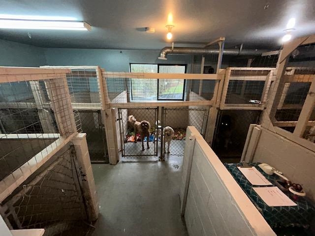 Hot Tub / Spa Photo of 28316 Dewdney Trunk Road, Maple Ridge, BC