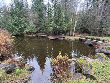 Outdoor Patio Photo of 28316 Dewdney Trunk Road, Maple Ridge, BC