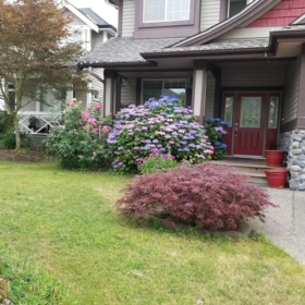 6081 164a Street, Surrey, BC, Surrey — Single Family Residence for sale