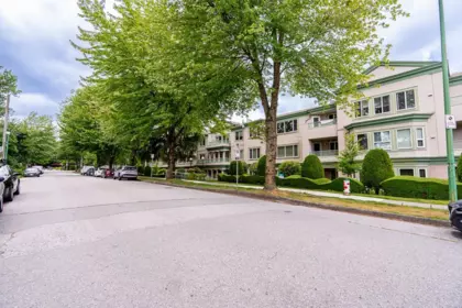 107 3767 Norfolk Street, Burnaby, BC, Burnaby — Apartment/Condo for sale