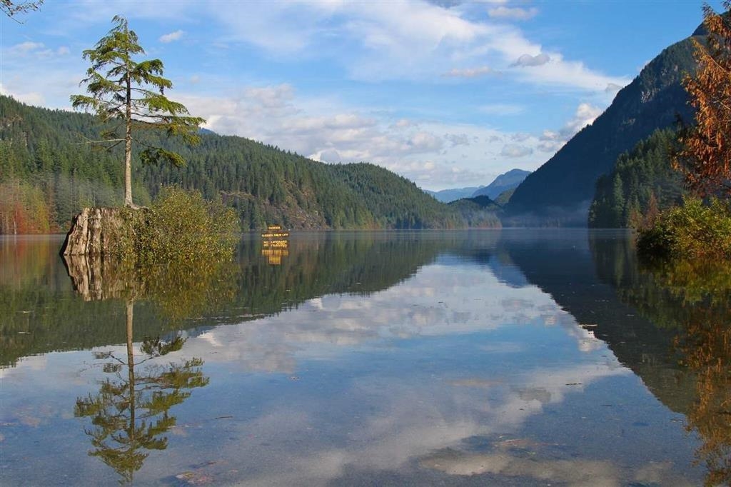 Exterior Rear Photo of 2982 Sunnyside Road, Anmore, BC