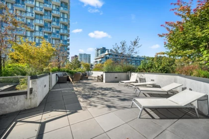 Basement Recreation Room Photo of 8573 Rivergrass Drive, Vancouver, BC