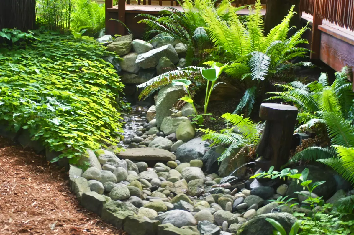 Garden / Landscaping Photo of 1833 133a Street, Surrey, BC