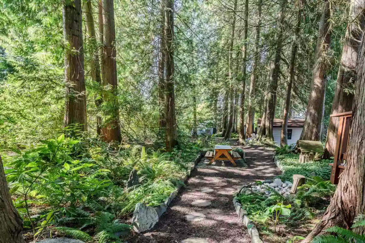Outdoor Deck Photo of 1833 133a Street, Surrey, BC