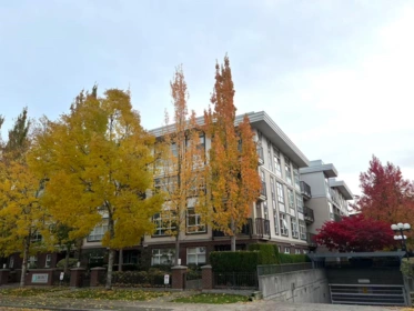 315 15168 19 Avenue, Surrey, BC, Surrey — Apartment/Condo for sale