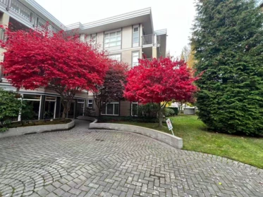 Staircase Photo of 315 15168 19 Avenue, Surrey, BC