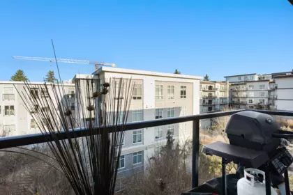 Hallway Photo of 516 13733 107a Avenue, Surrey, BC