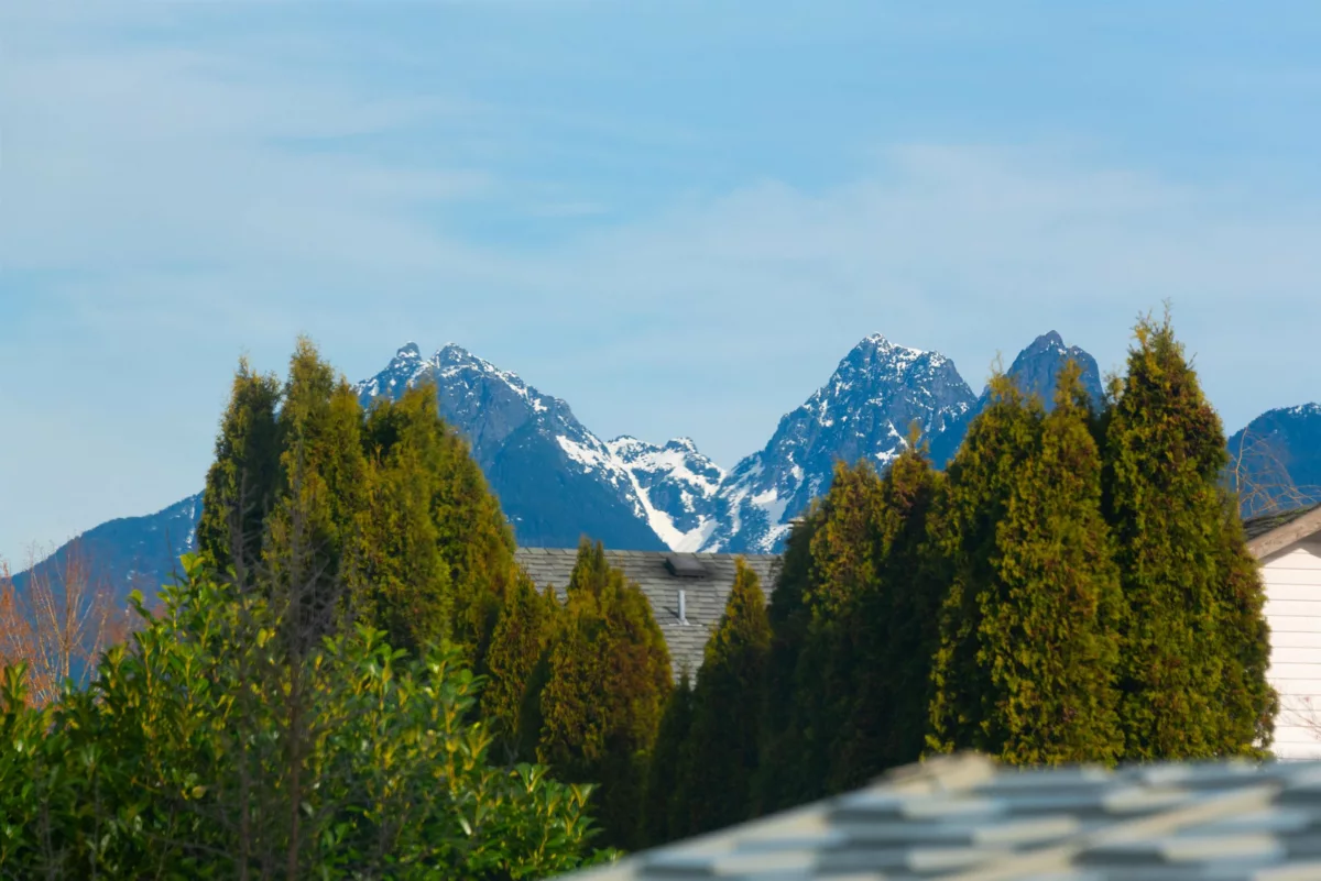 Staircase Photo of 23364 117b Avenue, Maple Ridge, BC