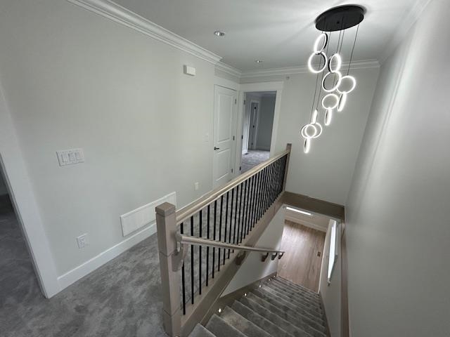 Pantry Photo of 24308 101a Avenue, Maple Ridge, BC