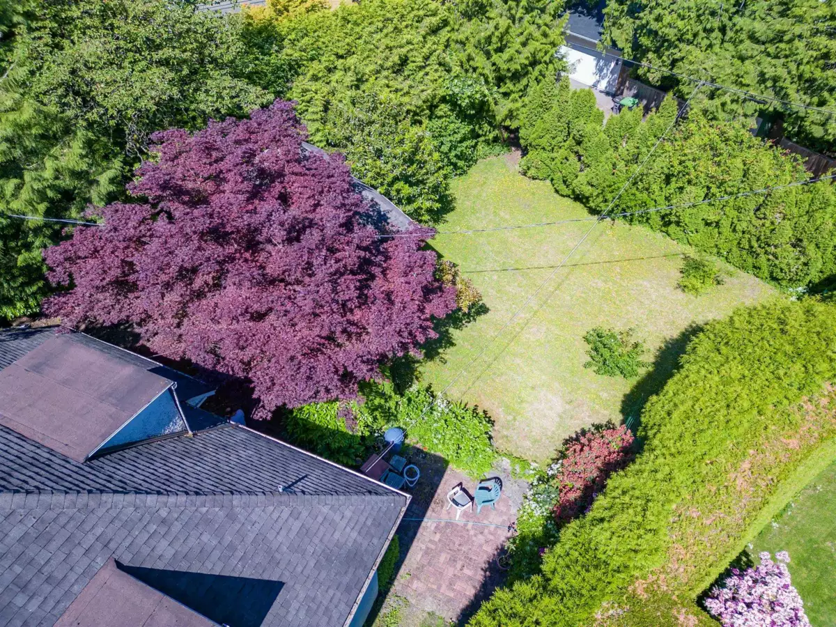 Kitchen Photo of 5549 Churchill Street, Vancouver, BC