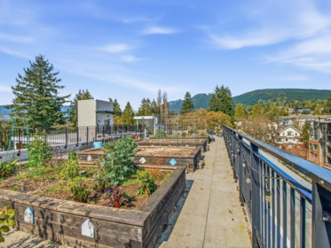 Backyard Photo of 405 2137 Chesterfield Avenue, North Vancouver, BC