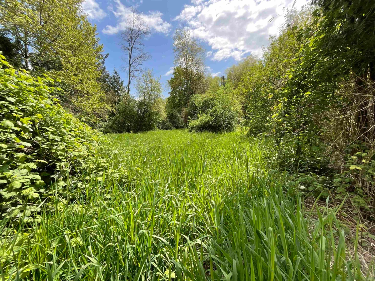 Exterior Rear Photo of 142 Kilby Road, Harrison Mills, BC
