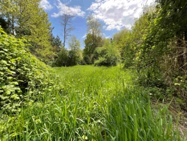142 Kilby Road, Harrison Mills, BC, Harrison Mills — Recreational for sale