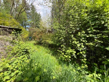 Pantry Photo of 142 Kilby Road, Harrison Mills, BC